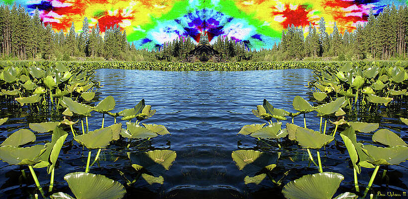 Wall Art - Photograph - Psychedelic Sunrise at Amber Lake by Ben Upham III