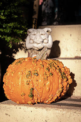 Wall Art - Photograph - Pumpkin and gargoyle on front steps catch the last light of a fa by Cindy Shebley
