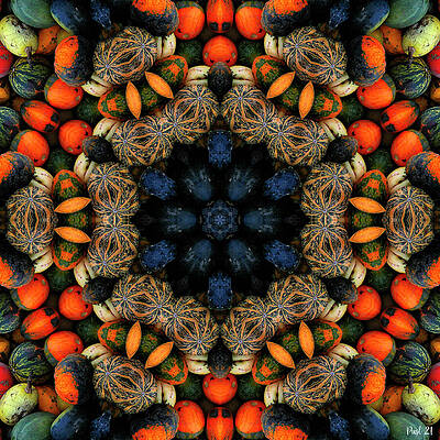 Pumpkin Kaleidoscope by Jutta Maria Pusl Pumpkin Kaleidoscope by Jutta Maria Pusl