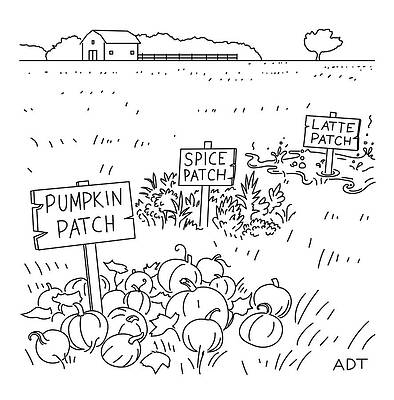 Wall Art - Drawing - Pumpkin Spice Latte Patch by Adam Douglas Thompson