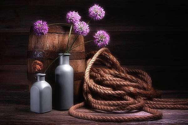 Purple Onion Flowers with Wine Keg by Tom Mc Nemar Purple Onion Flowers with Wine Keg by Tom Mc Nemar