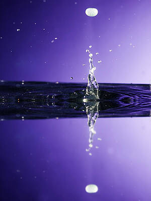 Purple Reflections by Eugene Campbell Purple Reflections by Eugene Campbell