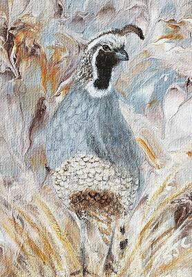 Quail by Suzy Combs Quail by Suzy Combs
