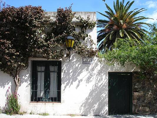 Nature Wall Art featuring the photograph Quaint House With Greenery In Colonia Del Sacramento, Uruguay by Travel Essayist
