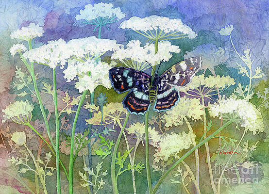 Queen Annes Lace Art Print, Queen Annes Photo, Wild Flowers Photo, Flora  Art Print, Botanical Art Print, Field Flowers Print, Large Wall Art 