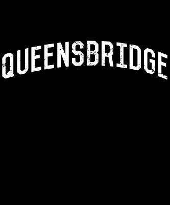 Wall Art - Digital Art - Queensbridge NY by Flippin Sweet Gear