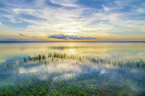 Wall Art - Photograph - Quiet Evening on the Marsh by Debra and Dave Vanderlaan