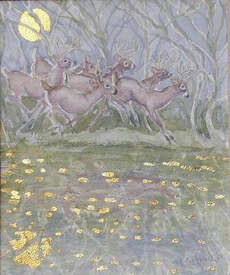 Racing the river by Susan Westwood