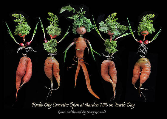 Wall Art - Photograph - Radio City Carrettes Open at Garden Hills on Earth Day by Nancy Griswold
