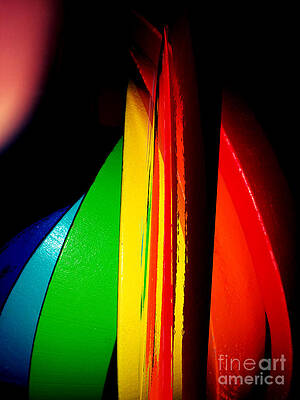 Rainbow, blossom, Nature, flower, by SCOTT S BAKER Rainbow, blossom, Nature, flower, by SCOTT S BAKER