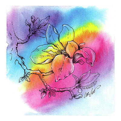 Rainbow Magnolia by Starglow Studio Rainbow Magnolia by Starglow Studio