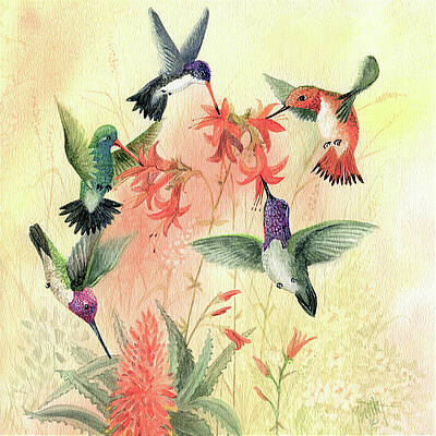 Rainbow of Hummingbirds by Marilyn Smith Rainbow of Hummingbirds by Marilyn Smith