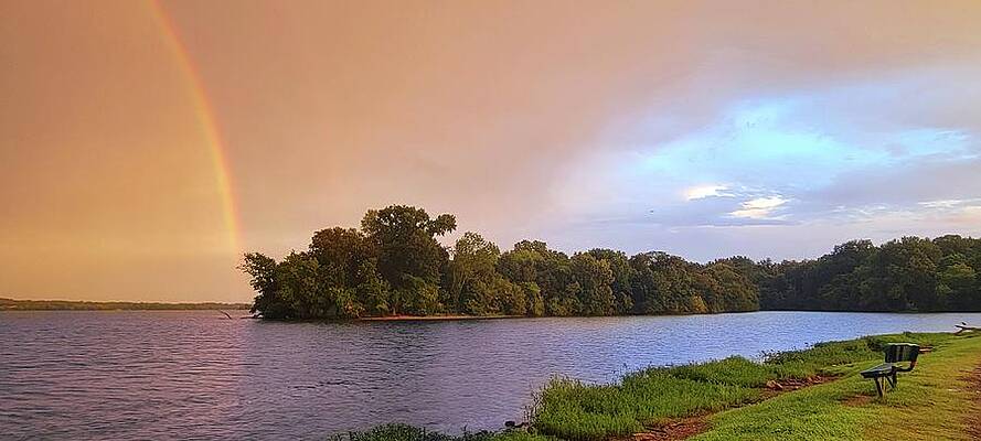 Rainbow Paradise by Ally White Rainbow Paradise by Ally White