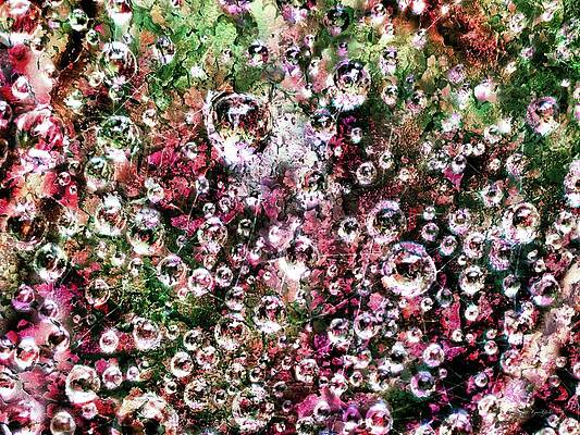 Wall Art - Digital Art - Raindrops in a spiderweb with tree lichen background by Bruce Block