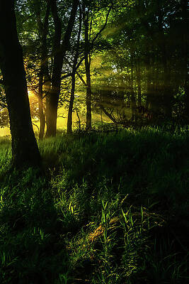 Rays of Light by Jason Funk Rays of Light by Jason Funk