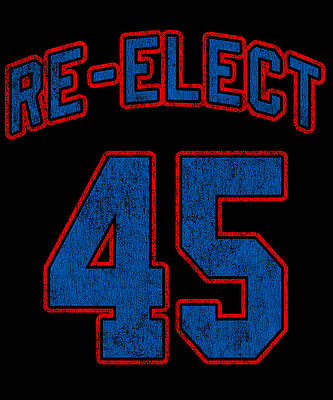 Wall Art - Digital Art - Re Elect 45 Trump 2020 by Flippin Sweet Gear