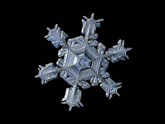 Wall Art - Photograph - Real snowflake 2021-02-17 8913-21b by Alexey Kljatov