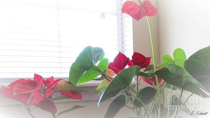 Red and Green Plants by Denise F Fulmer Red and Green Plants by Denise F Fulmer