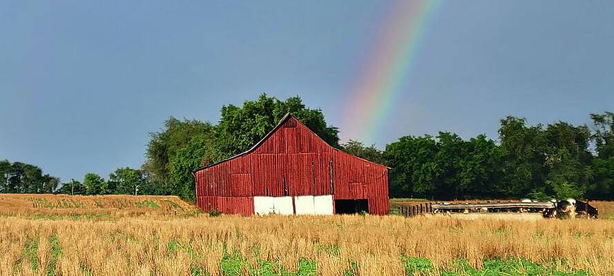 Red Barn and Rainbow by Ally White Red Barn and Rainbow by Ally White