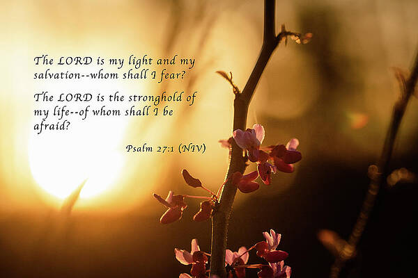 Red Bud Sunset with Scripture by Joni Eskridge Red Bud Sunset with Scripture by Joni Eskridge