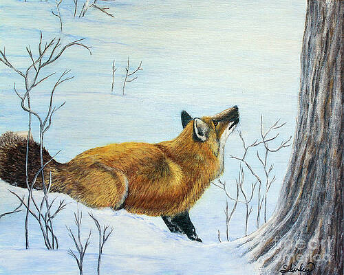 Wall Art - Painting - Red Fox in the Snow by Shirley Dutchkowski