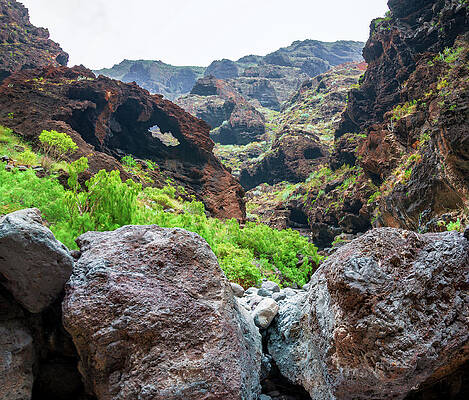Red mountains in the Masca gorge by Sun Travels Red mountains in the Masca gorge by Sun Travels