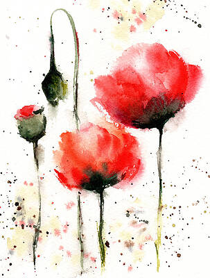 Red Poppies by Tanya Gordeeva Red Poppies by Tanya Gordeeva