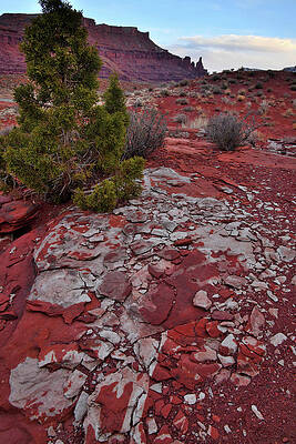 Red Rock Mosaic by Ray Mathis Red Rock Mosaic by Ray Mathis