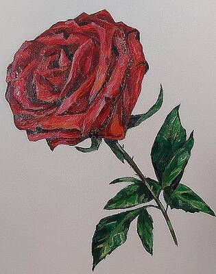Red Rose by Nadine Gagne