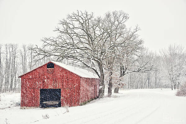 Red Shed in White - Tobacco shed on Stebbinsville Road near Stoughton WI in snowstorm by Peter Herman Red Shed in White - Tobacco shed on Stebbinsville Road near Stoughton WI in snowstorm by Peter Herman