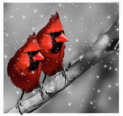 Red Winter Cardinals by Doreen Erhardt Red Winter Cardinals by Doreen Erhardt