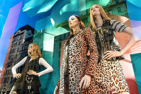 Reflected City - Maidens of NYC by David Perea Reflected City - Maidens of NYC by David Perea