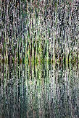 Reflecting by Gary Geddes Reflecting by Gary Geddes