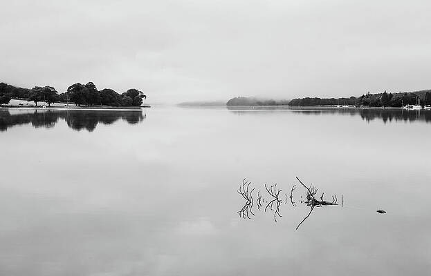 Wall Art - Photograph - Reflection of branch in Coniston Water  by Steven Heap