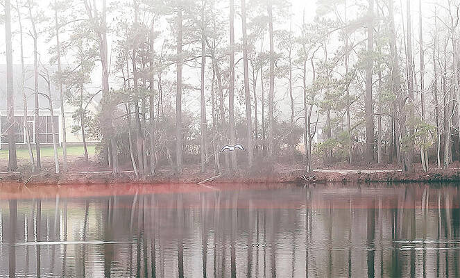 Reflections on the Lake by Ed Stines Reflections on the Lake by Ed Stines