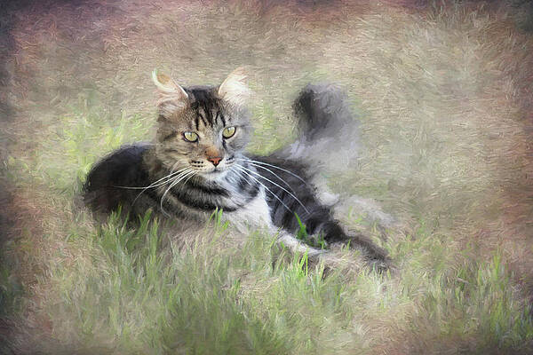 Relaxation by Michael Mayo