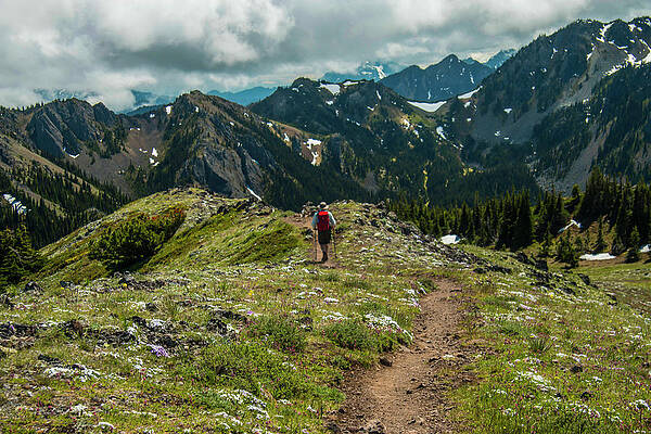 Reluctantly Descending by Doug Scrima Reluctantly Descending by Doug Scrima