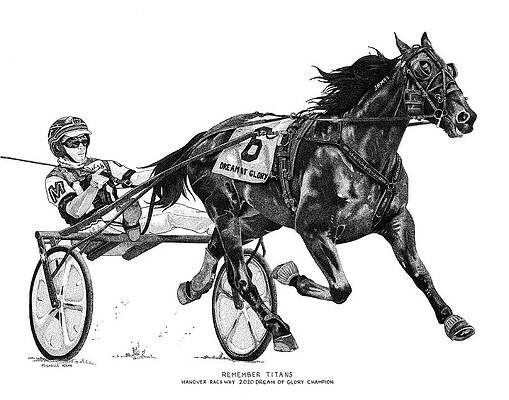 Standardbred Drawings for Sale - Pixels