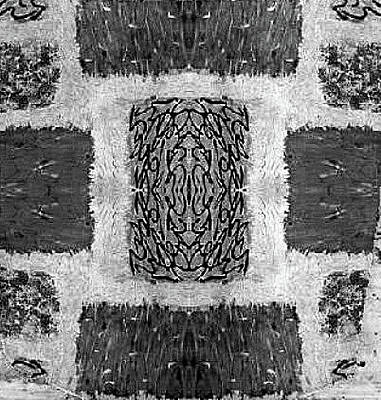 Remixed Transformation by Susan Schanerman Remixed Transformation by Susan Schanerman