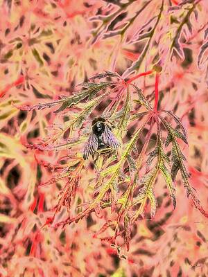 Wall Art - Photograph - Resting Bumblebee  by Bruce Block