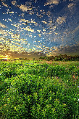 Revive Your Heart by Phil Koch Revive Your Heart by Phil Koch
