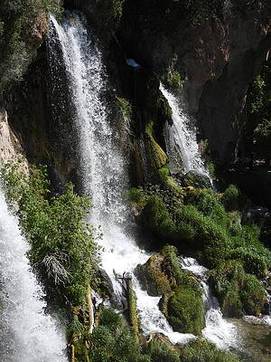Wall Art - Photograph - Rifle Falls 18 by Amanda R Wright