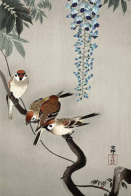 Wall Art - Painting - Ring sparrows at wisteria by Ohara Koson