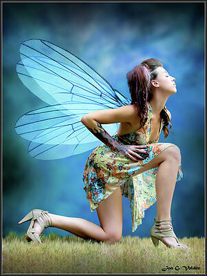 Rise Of The Fairy Queen by Jon Volden Rise Of The Fairy Queen by Jon Volden