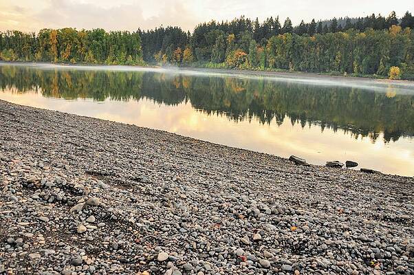 River fog  by Miike OHalloran