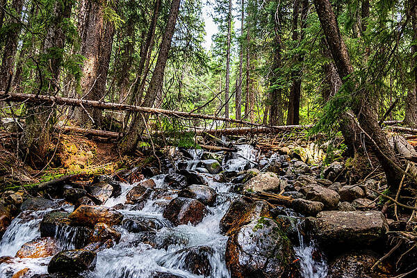 River in the Tetons by Nathan Wasylewski River in the Tetons by Nathan Wasylewski