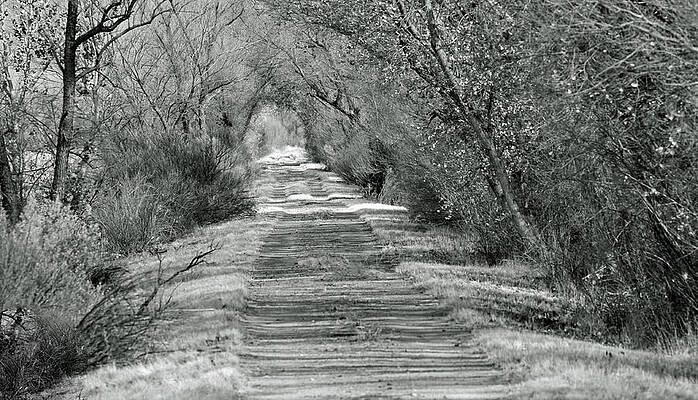 Road less traveled by Marc Meyer
