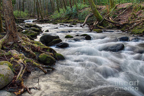 Roadside Creek 2 by Phil Perkins Roadside Creek 2 by Phil Perkins
