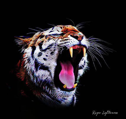 Roar whats it good for by Roger Lighterness Roar whats it good for by Roger Lighterness