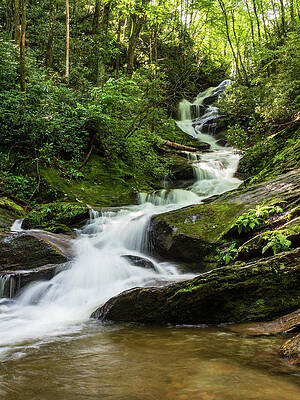Roaring Fork Falls by Cynthia Clark Roaring Fork Falls by Cynthia Clark